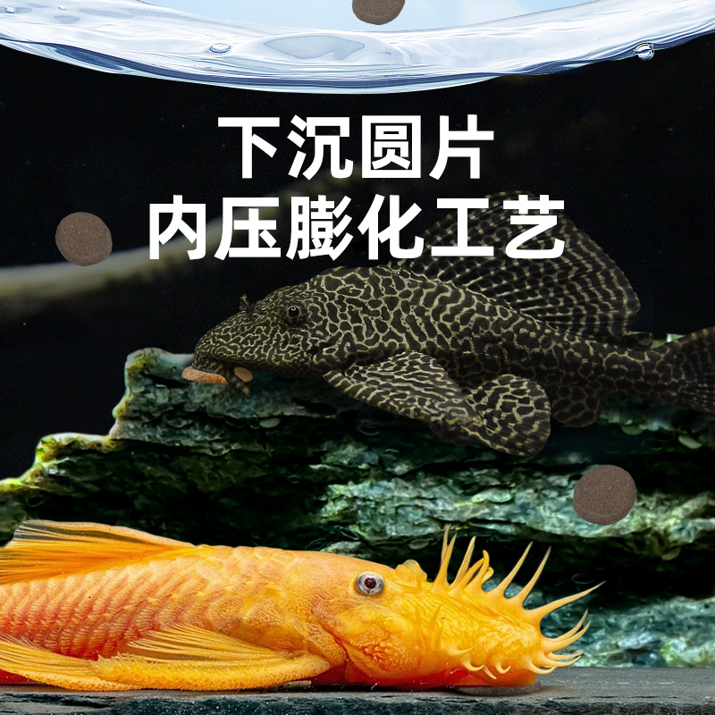 异形鱼饲料鼠鱼清道夫招财猫鱼底栖鱼粮通用蓝鲨虎头鲨鱼食下沉型 - 图3