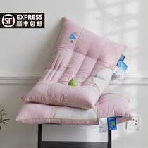 Class A ANTIBACTERIAL CASSIAE PROTECTION CERVICAL SPINE PILLOW PILLOW INNER AID SLEEP SPECIAL SUMMER MEMORY COOL PILLOW HOME A PAIR OF BEATS 2