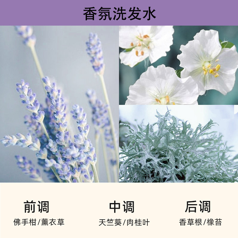 三谷防脱洗发水植物固育发生姜精华清爽蓬松控去油屑头皮洗发露乳-图2