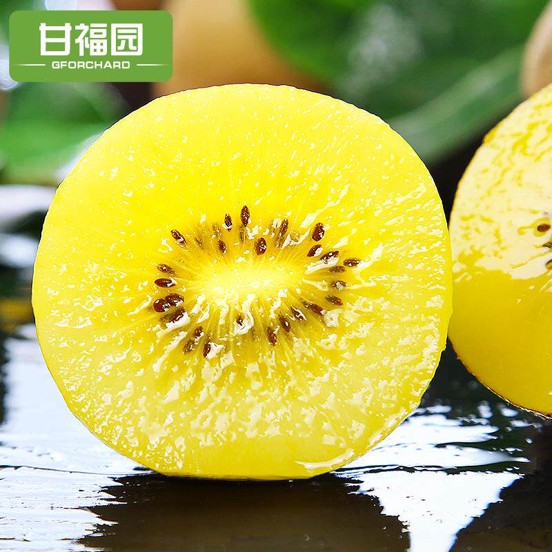 正宗四川黄心5斤新鲜狝泥弥猴桃 脆誉甜奇异果/猕猴桃