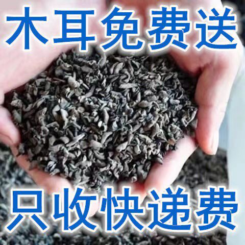 东北野生包邮小碗耳肉厚农家干木耳 酷壹点黑木耳