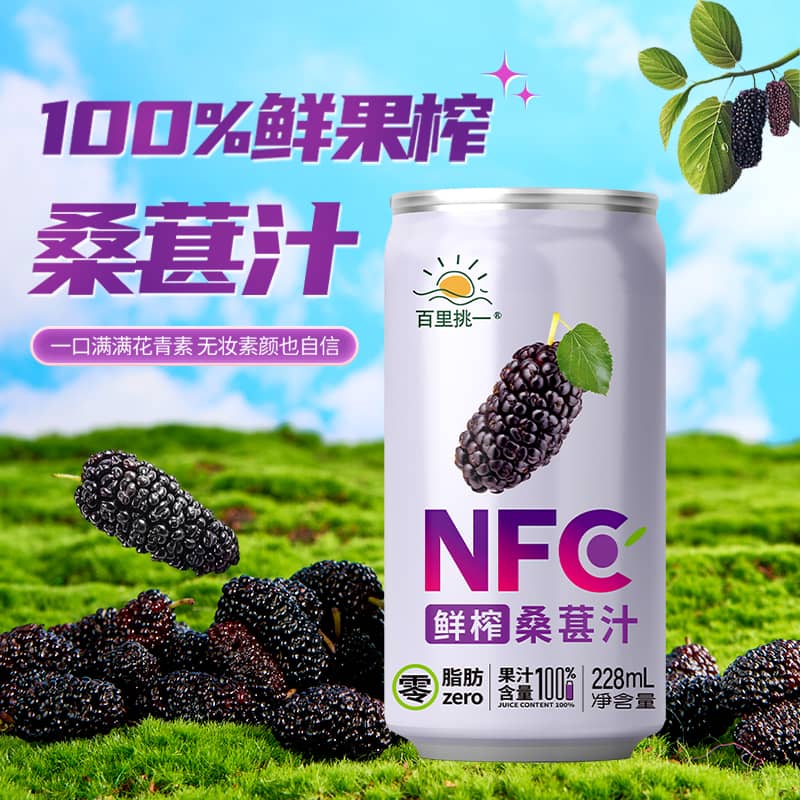 康之味NFC桑葚汁228ML*48听原榨纯果汁无添加100%鲜果汁饮品整箱