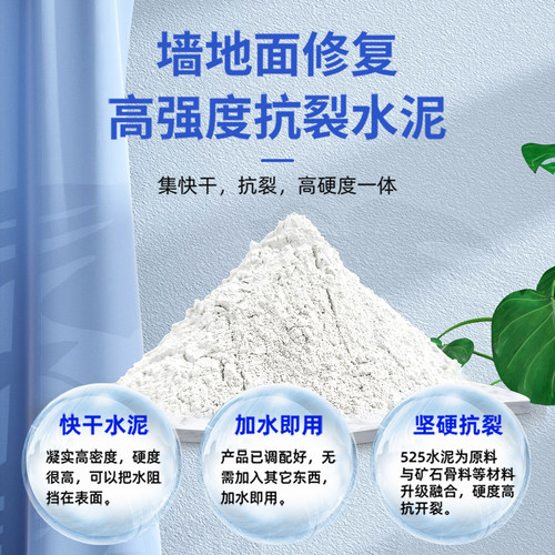 白水泥快干堵漏王防水墙面填缝剂砂浆白色水泥胶家用水泥地面修补 - 图0