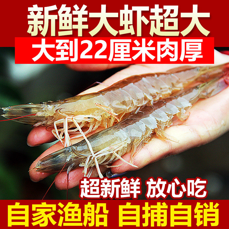 大虾鲜活超大基围虾特大青虾冷冻鲜对虾速冻烟台海虾虾类海鲜水产