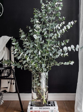 Vase furnishing articles flower arranging transparent glass
