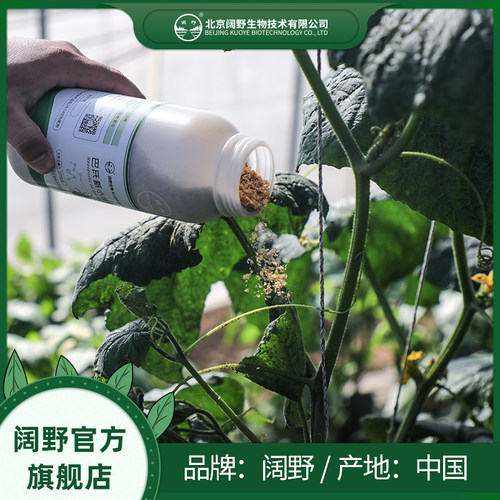 巴氏新小绥螨捕食螨活体益螨防治红蜘蛛茶黄螨及蓟马蚜虫粉虱卵害 - 图0