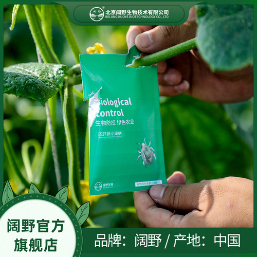 巴氏新小绥螨捕食螨活体益螨防治红蜘蛛茶黄螨及蓟马蚜虫粉虱卵害 - 图3