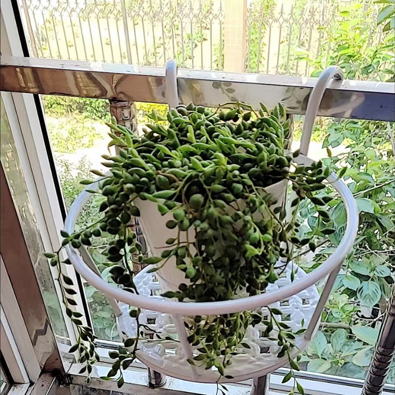 清仓挂壁花盆架防护栏绿植室外庭院花卉挂钩花架子阳台悬挂式花架,淘宝优惠券,粉丝福利购,淘宝优惠卷