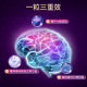 Neurozan ginkgo leaf essence ສານສະກັດຈາກພະລັງງານສະຫມອງ
