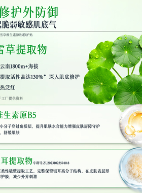 斐思妮积雪草B5绿膜修护面膜3片