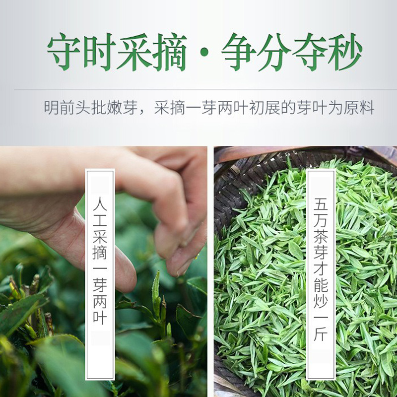 宜昌五峰毛尖茶叶一级春茶嫩芽浓香型散装250g五峰原产绿茶新茶