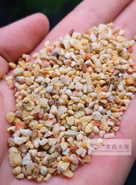 黑金沙黑陶粒巢湖黑工沙石英荷兰面粉珊瑚骨鼠鱼沙鱼缸造景沙底沙