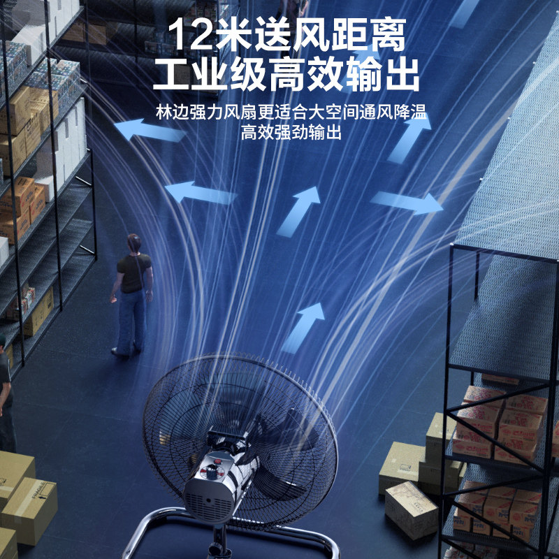 林边摇头趴工业扇家用大功率爬地扇 林边电风扇