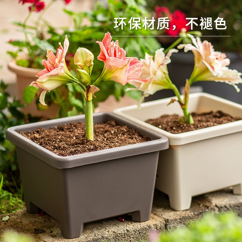 爱丽思方形花盆朱顶红专用盆花卉盆栽塑料阳台种菜方盆爱丽丝花盆 - 图1