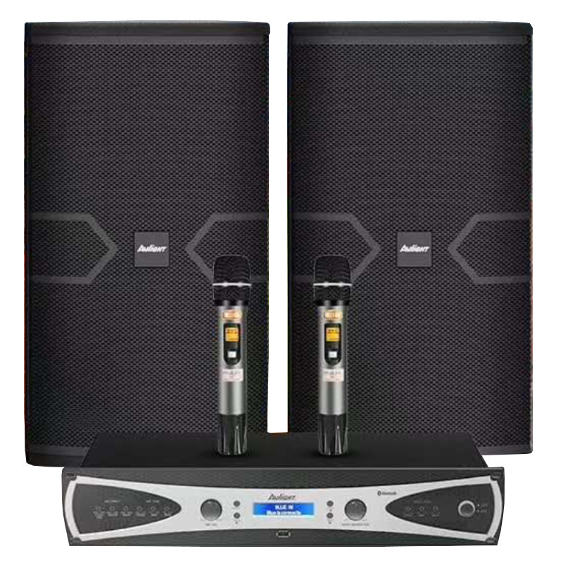 爱浪mk820-12专业演出会议高端音响 爱浪山水国际KTV/卡拉OK音箱