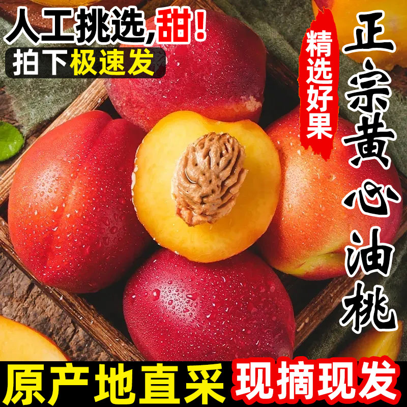 黄心油桃现摘桃子时令水果新鲜当季大果整箱10斤水密桃孕妇蜜脆桃 - 图1