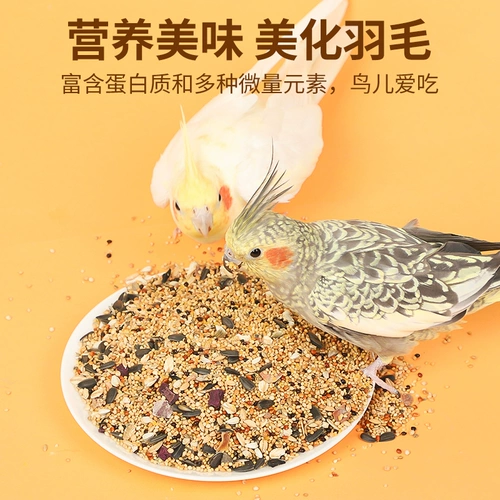 Сюанфенг попугай специальное зерно, желтая долина, просо, гана, мелкие семена дыни. Смешанное зерно, птицы, птицы и птицы корм