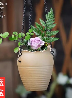 吊篮粗陶透气清新多肉花盆