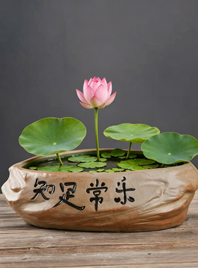 粗陶仿古石头无孔水培花盆铜钱草绿萝碗莲水养器皿客厅桌面盆景