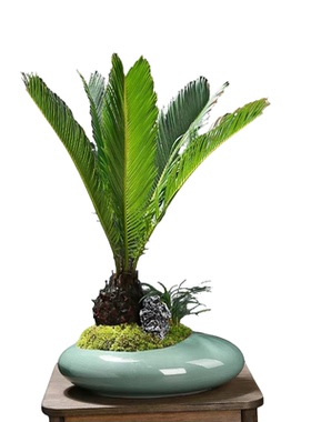 哥窑紫砂兰花花盆新款创意文竹蝴蝶兰客厅家用绿植盆大号陶瓷花盆