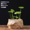 Stone pot antique stone flower pot non-porous hydroponic special pot