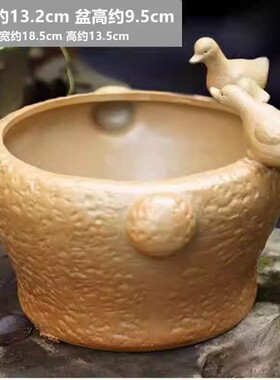 陶瓷玻璃水培花盆绿萝铜钱草