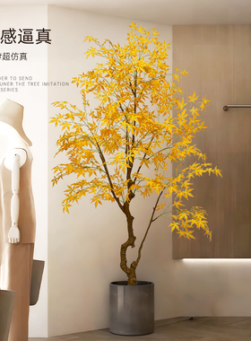 仿真枫树服装店室内假植物盆栽