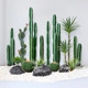 Simulated green plant cactus indoor landscaping combination large-scale high-end bionic tropical plant floor-standing potted plant