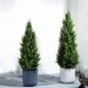 Simulated green plants, pine and cypress trees, interior decoration ornaments, potted plants, large bionic green plants, floor-to-ceiling high-end fake trees