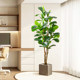 Great value! High-end simulated green plant Qin Ye Rong is recommended