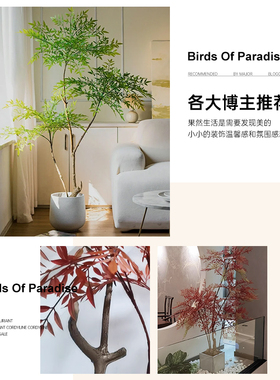 假绿植南天竹室内摆件装饰高端轻奢落地盆栽高级仿生绿色植物花树