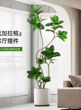 仿真绿植孟加拉榕室内客厅高端轻奢大型落地仿生植物摆件装饰盆栽