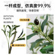 Green plant simulation olive tree high quality bionic plant landscaping indoor living room ornaments decorative flowers large fake potted plants