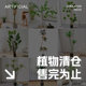 Love Pomelo Simulated Green Plants Clearance Green Plants