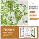 Simulated green plant Nandina bamboo floor-standing potted indoor large-scale bionic plant ornaments living room light luxury decorative flower fake tree