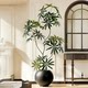 Simulated plant peacock wood indoor large decorative ornaments living room potted high-quality bionic green plants floor-standing artificial trees