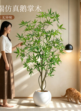 仿真鹅掌木室内客厅大型盆栽摆件