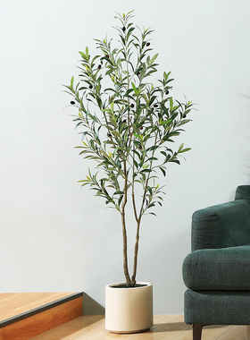 仿真绿植橄榄树高端轻奢仿生植物客厅落地室内装饰摆件大型假盆栽