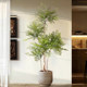 Simulated green plant nandina bamboo decorative ornaments next to TV cabinet