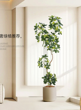 轻奢绿植仿真鸭脚木室内大盆栽仿生植物室内客厅装饰落地造景摆件