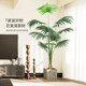 Selection of high-quality light luxury simulated green plants Pu Kui tree