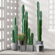 Fake green plant cactus indoor high-end light luxury landscaping landscape high-end bionic green plant tropical simulation tree