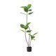 Home high-end decorative green plants simulated rubber trees