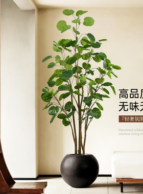 假绿植金钱兜室内大型落地盆栽仿真摆件装饰高品质仿生植物氛围树