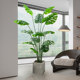 Love pomelo turtle back simulation green plant large size