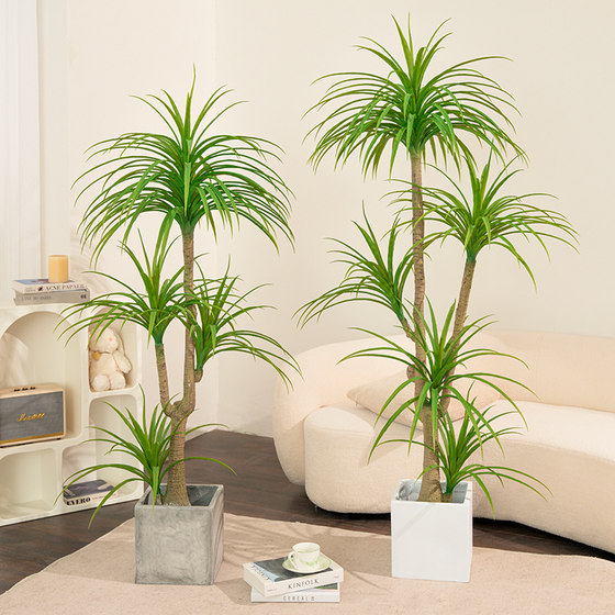 Fake green plant Dracaena simulated plant high-end light luxury indoor living room decoration floor-standing ornaments large bionic flower tree