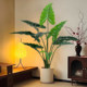 Simulated green plants Salian high-end light luxury decorative ornaments advanced bionic green plants Alocasia tree floor-standing potted plants