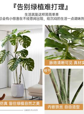 仿真植物假树室内客厅落地大型龟背竹高级感仿生绿植盆栽装饰摆件