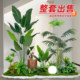 Simulated green plants, indoor landscaping, balcony landscape combination, large bionic advanced decorative ornaments, floor-standing potted artificial trees
