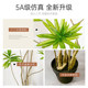 Nordic style lily, bamboo and pomelo floor-standing potted plant